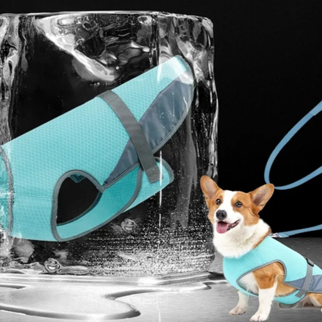 Arnés Refrigerante Para Perros