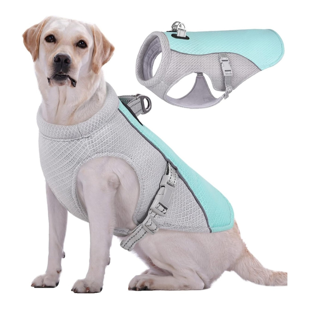 Arnés Refrigerante Para Perros